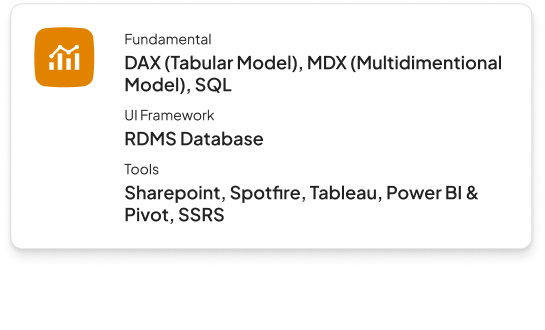 Data Analyst